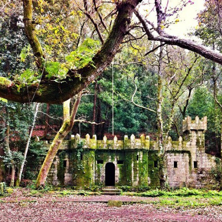 Bosque encantado