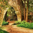 /album/fotogaleria-inicio1/a1003296-476396632451882-1782636071-n-jpg/
